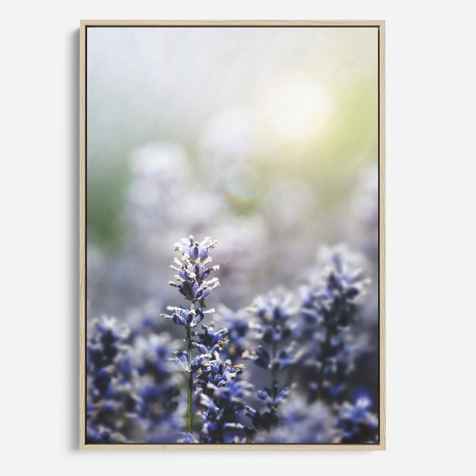 Obraz w ramie 50x70 - Delikatna Uroda Natury - wrzosy, fiolet - rama drewno