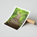 Plakat bez ramy 50x70 - Magia Leśnej Ścieżki - ścieżka, w lesie