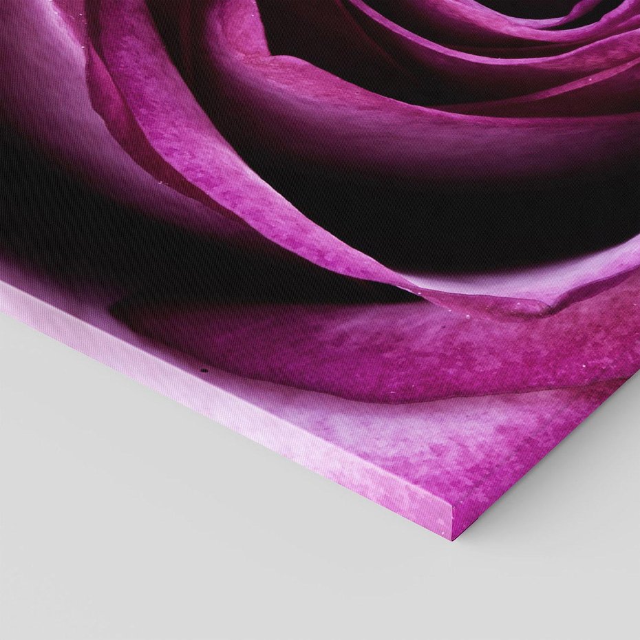 Obraz na płótnie 120x80 - piękno w delikatności - róża, kwiat