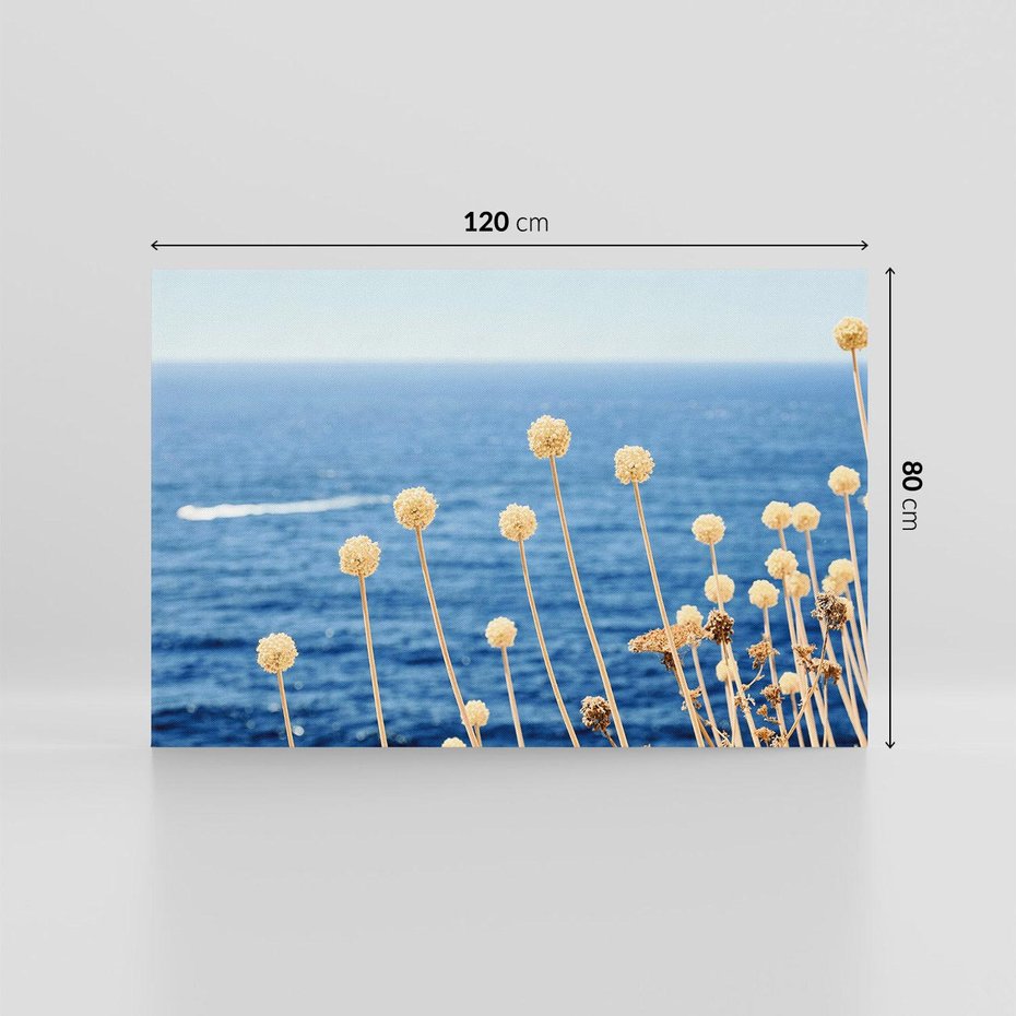 Obraz na płótnie 120x80 - Kontrasty Natury - fotografia, pierwszy plan sucha roślinność