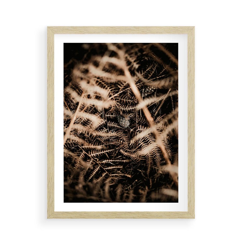 Plakat w ramie 50x70 - Liście i Paprocie - suche liście, paprocie - rama drewno