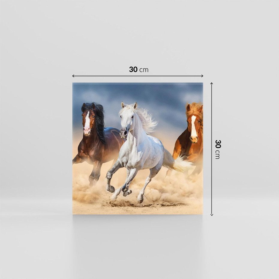 Obraz na płótnie 30x30 - Siła i elegancja - konie, galop