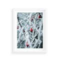 Plakat w ramie 30x40 - Zima na Gałęziach - zima, oszronione gałęzie - rama biała