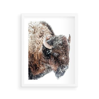 Plakat w ramie 30x40 - Obraz Dzikiej Przyrody w Śnieżnym Otoczeniu - żubr, śnieg - rama biała