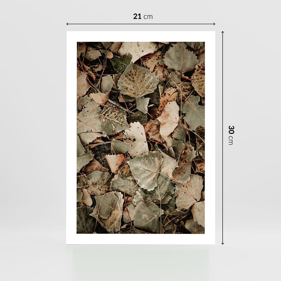 Plakat bez ramy 21x30 - Magia Jesiennych Liści - liście, suche liście