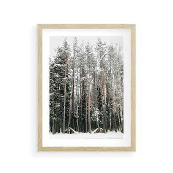 Plakat w ramie 30x40 - Sypiący Śnieg - las w zimie, drzewa pod śniegiem - rama drewno