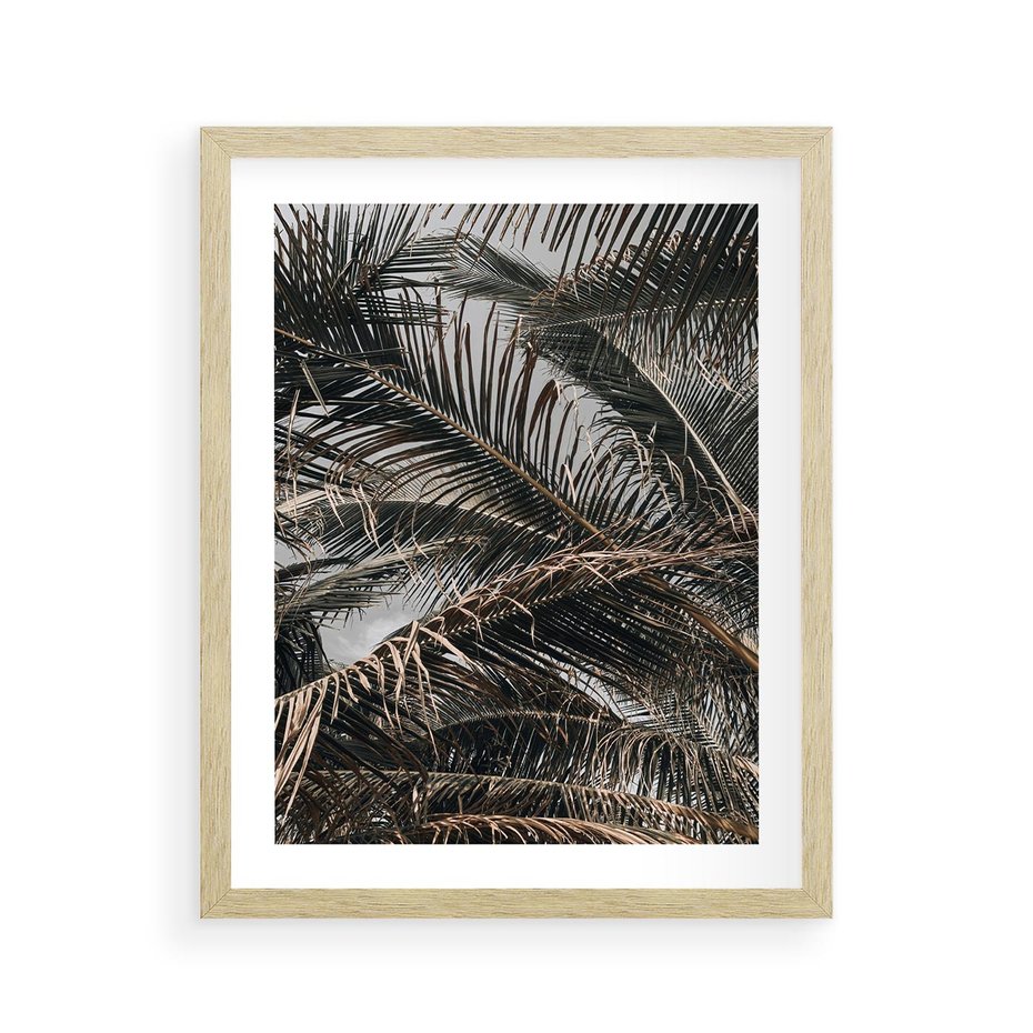 Plakat w ramie 40x50 - Liściaste Palmy - palmy, drzewa palmowe - rama drewno