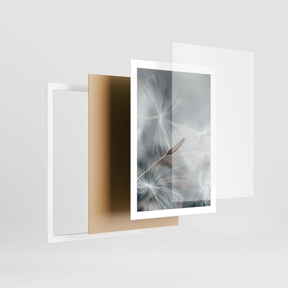 Plakat w ramie 50x70 - Piękno w Delikatności - dmuchawiec, makro zdjęcie - rama biała