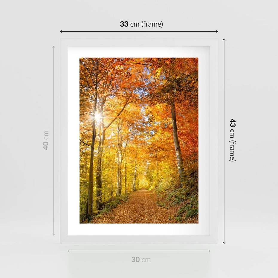 Plakat w ramie 30x40 - Złote barwy jesiennego lasu - las, jesień - rama biała