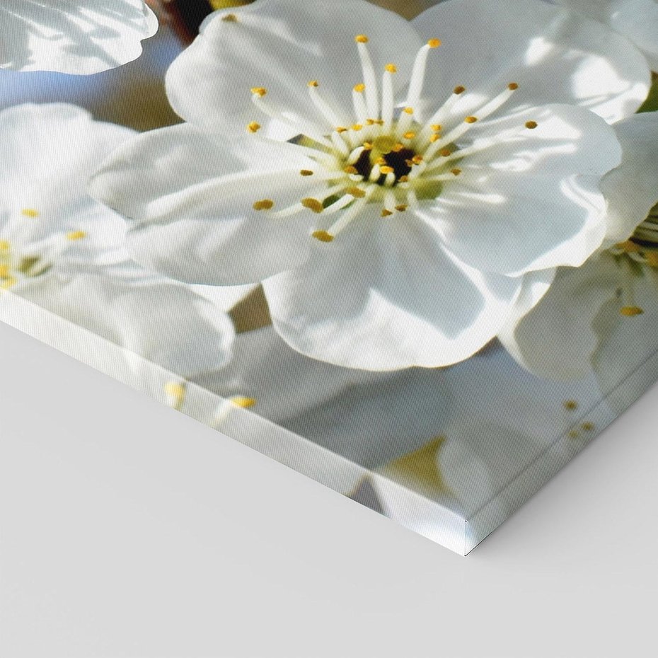 Obraz na płótnie 50x70 - Kwiatowa harmonia natury - kwiat, kwiaty