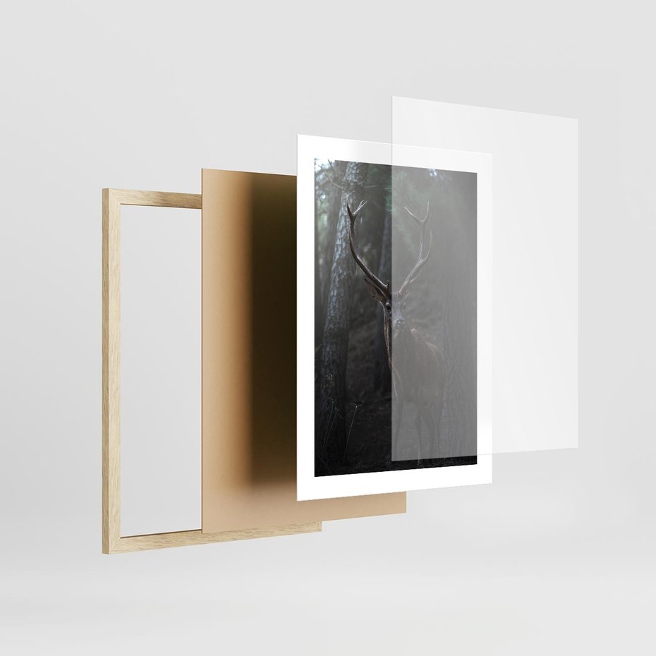 Plakat w ramie 30x40 - Jeleń wśród lasu - jeleń, las - rama drewno