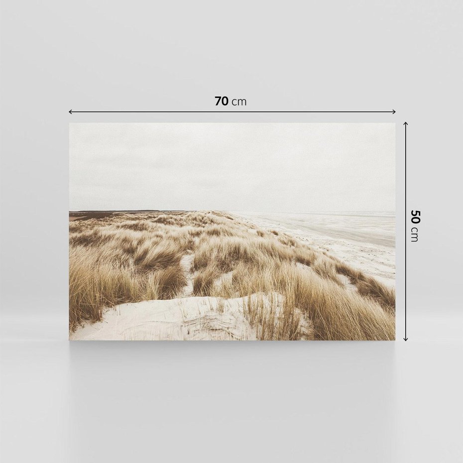 Obraz na płótnie 70x50 - Nadmorskie Wydmy - fotografia, kolory sepii