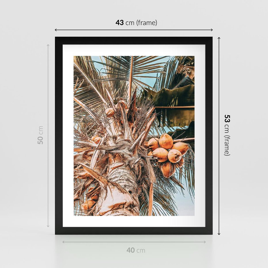 Plakat w ramie 40x50 - Tropikalna Palma: Fotografia z Kokosami - palma kokosowa, kokosy - rama czarna