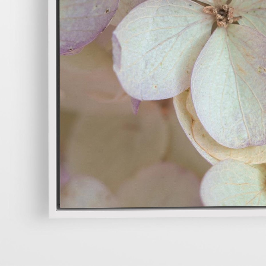 Obraz w ramie 100x70 - Kwiatowy taniec - kwiaty, hortensje - rama biała