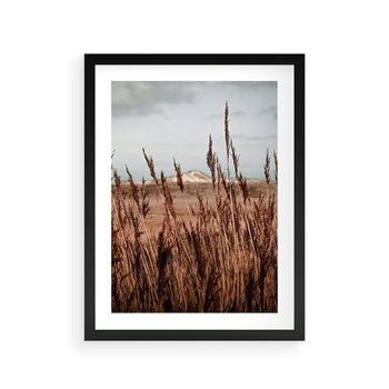 Plakat w ramie 30x40 - Wysokie Trawy w Górskim Krajobrazie - suche trawy, wysokie trawy - rama czarna