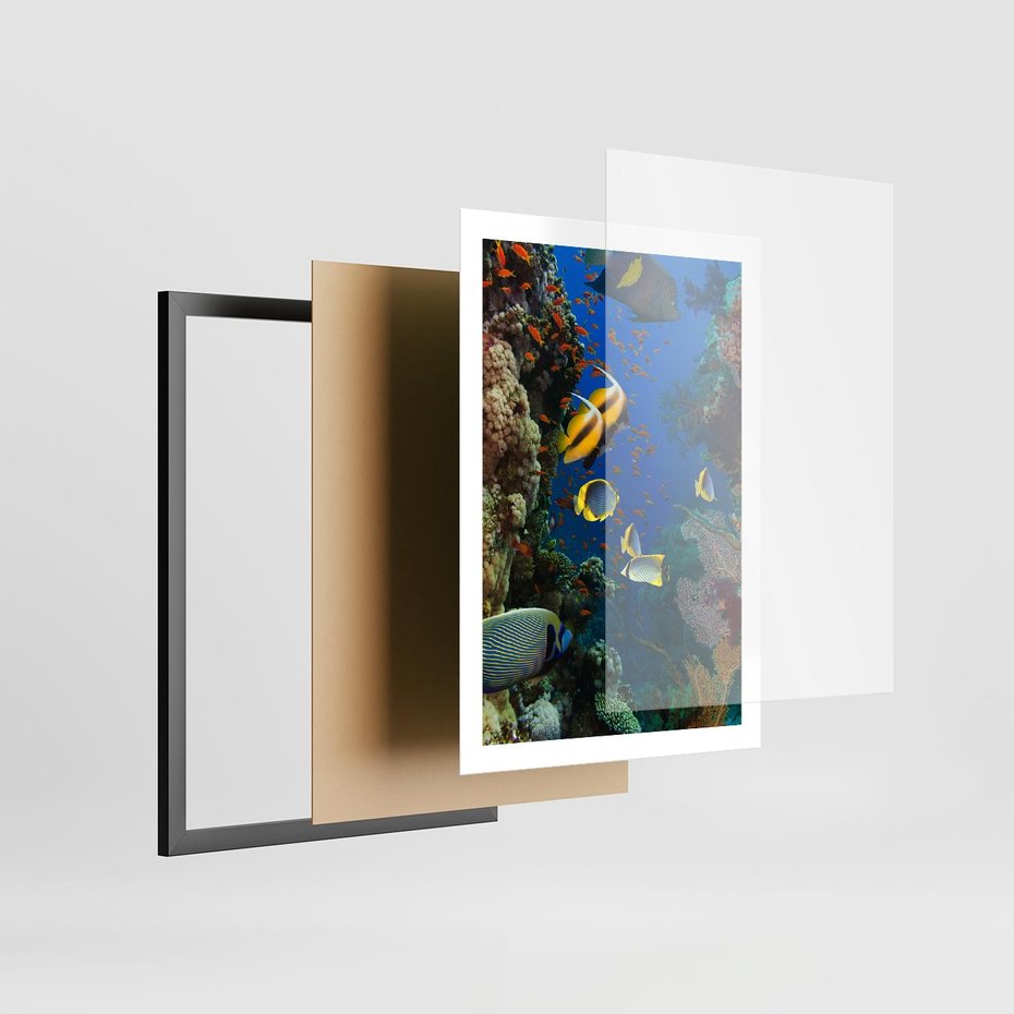 Plakat w ramie 50x70 - Podwodne królestwo rafy koralowej - rafa, koralowa - rama czarna