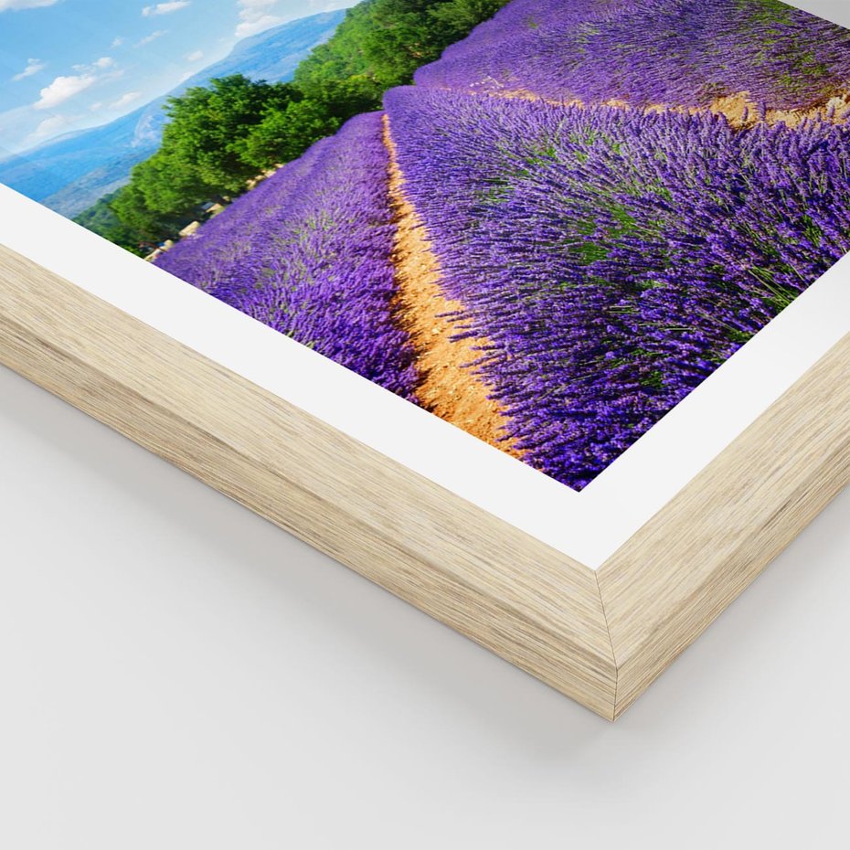 Plakat w ramie 30x40 - Prowansalska Lawenda - lawenda, prowansja - rama drewno