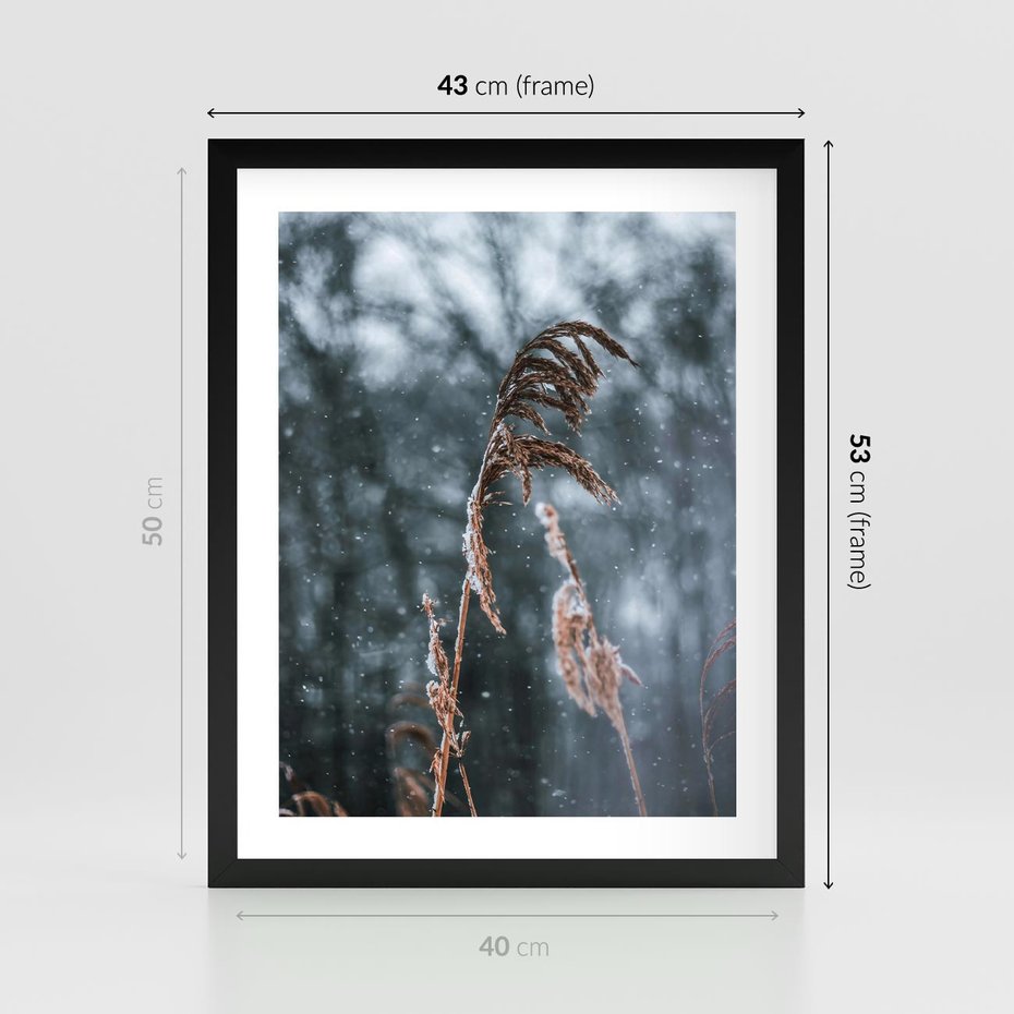 Plakat w ramie 40x50 - Zima na Łonie Natury - sucha wysoka trawa, w zimie - rama czarna