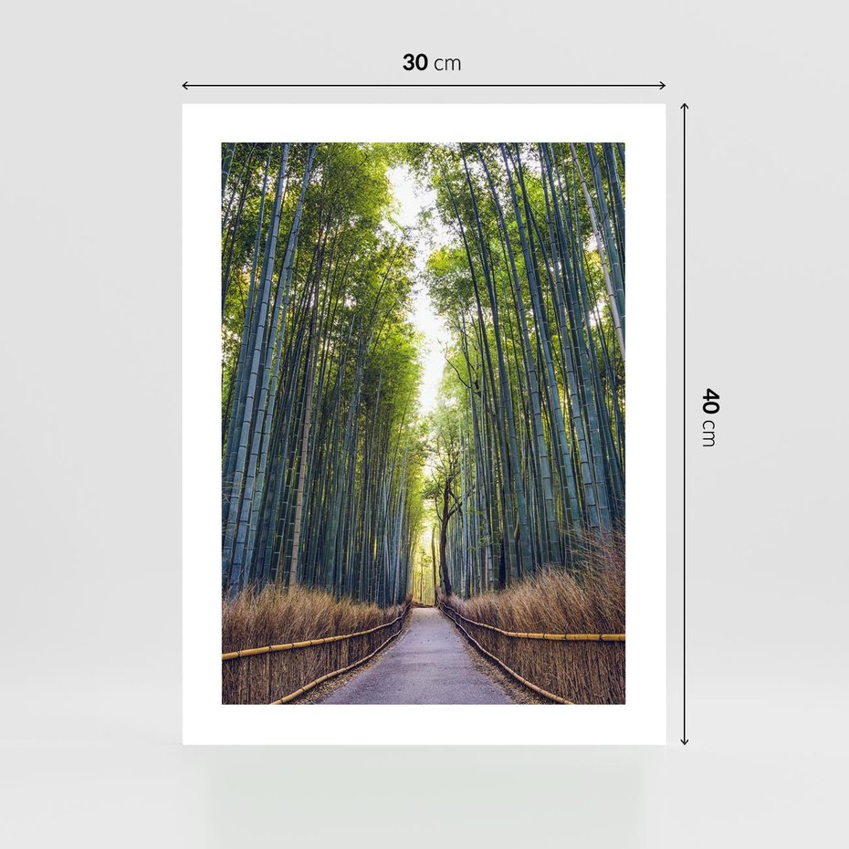 Plakat bez ramy 30x40 - Urokliwa dróżka w lesie - las, dróżka