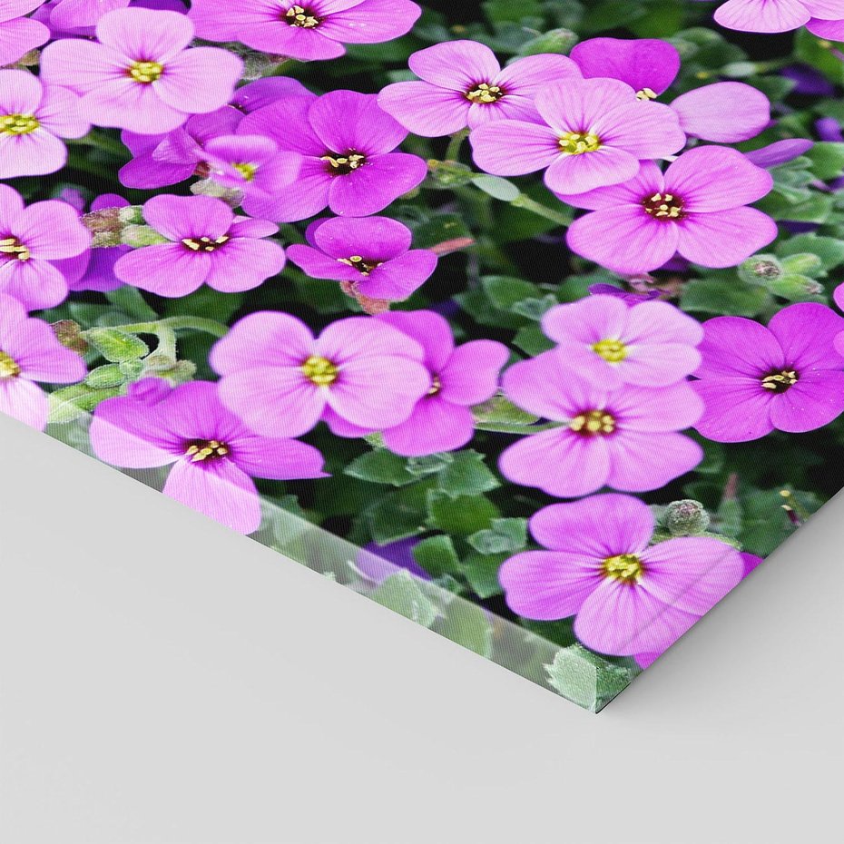 Obraz na płótnie 60x60 - Kwiatowa poezja w pastelowych odcieniach - kwiat, kwiaty