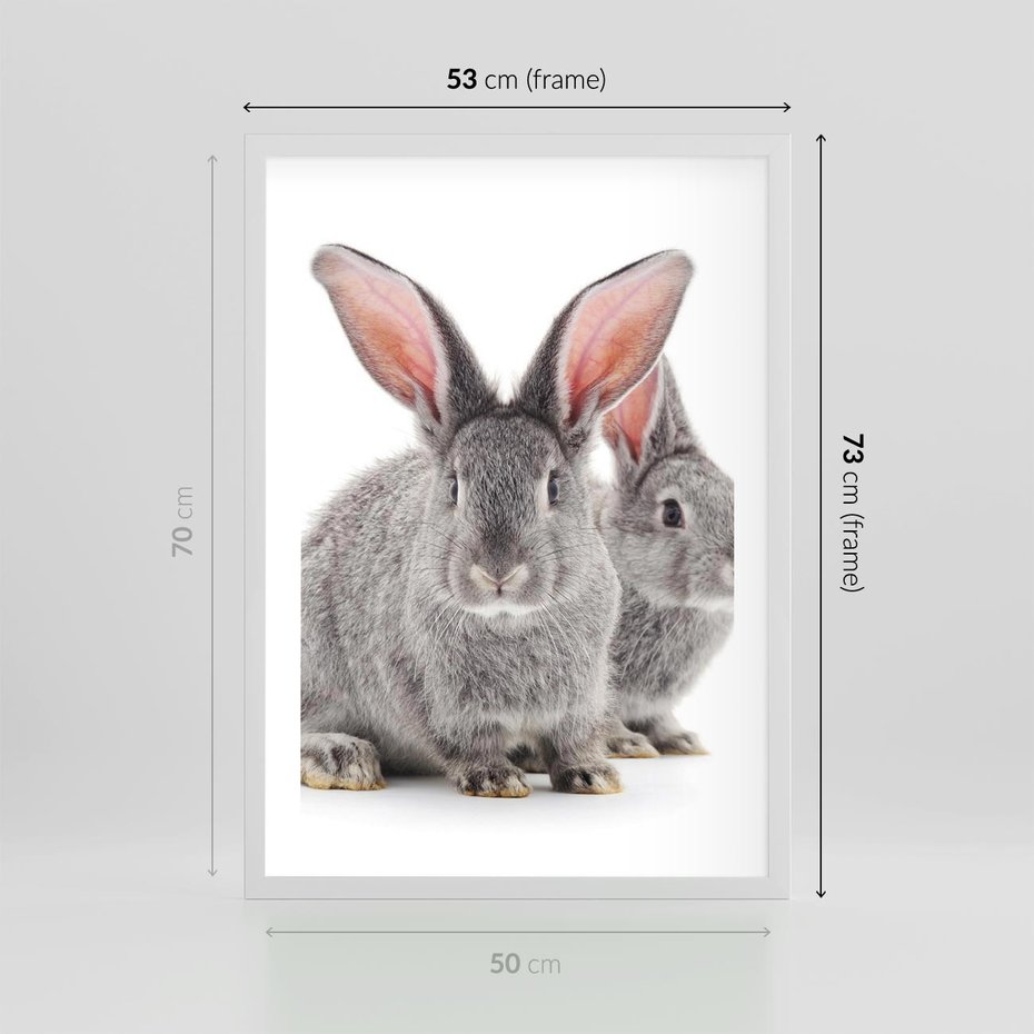 Plakat w ramie 50x70 - Uroczy królik wśród natury - królik, zając - rama biała