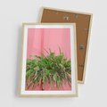 Plakat w ramie 50x70 - Fotografia Rośliny z Różowym Tłem - fotografia, zielona roślina na tle różwj ściany - rama drewno