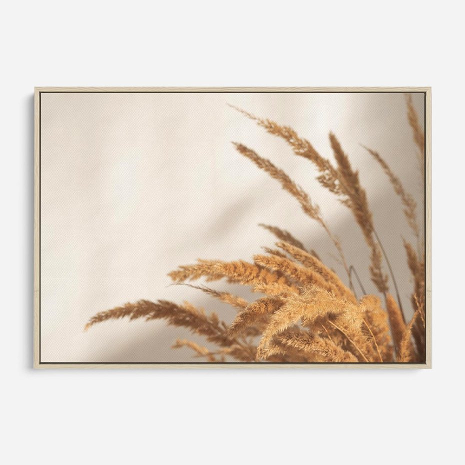 Obraz w ramie 70x50 - Swobodne trawy boho - boho, suche - rama drewno