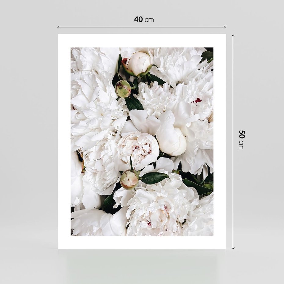 Plakat bez ramy 40x50 - Modne Białe Kwiaty - białe kwiaty, płatki