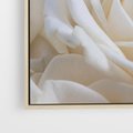 Obraz w ramie 80x80 - Białe róże piękności - białe, róże - rama drewno