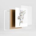 Plakat w ramie 40x50 - Ekskluzywny Relaks - storczyk, spa - rama biała