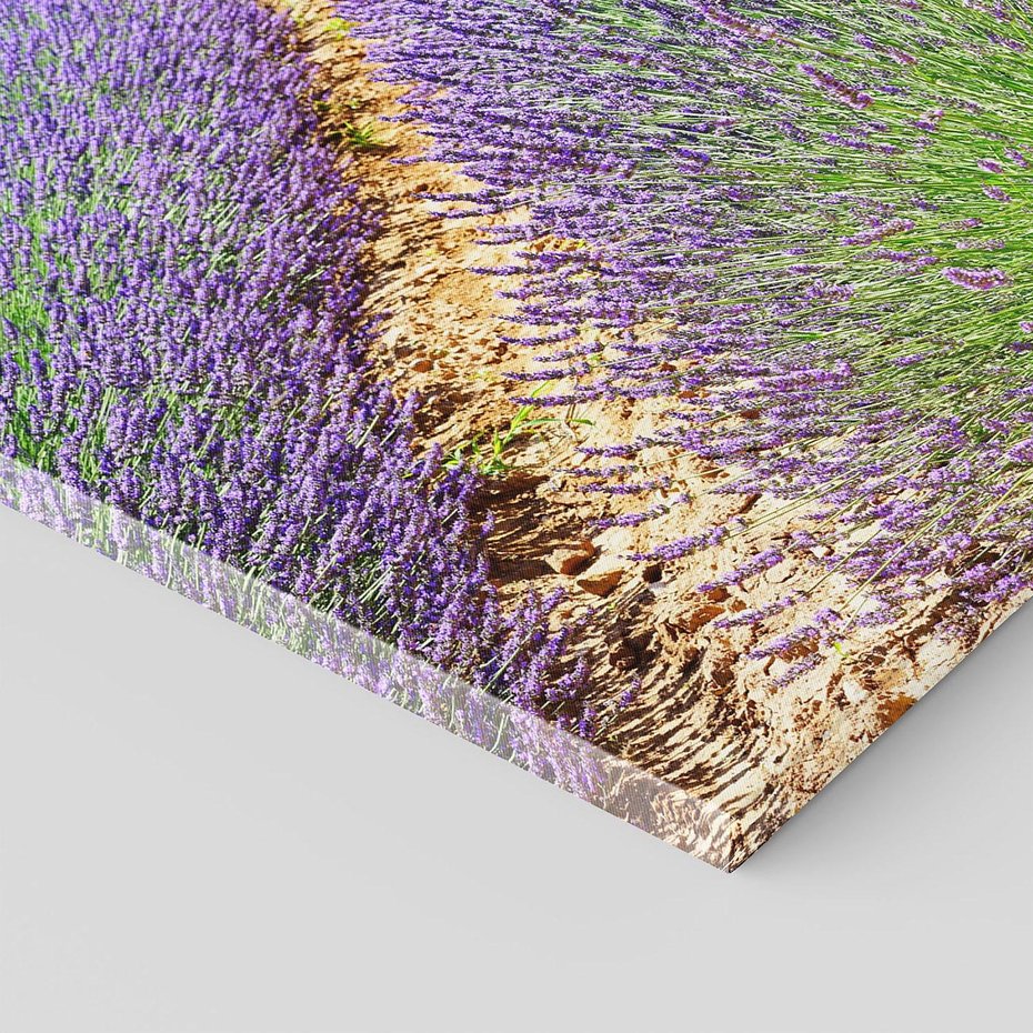 Obraz na płótnie 120x80 - Lawendowy kwiat - lawenda, kwiat