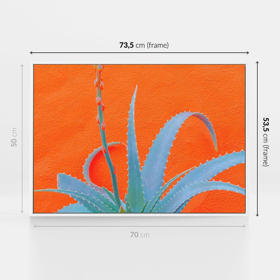 Obraz w ramie 70x50 - Naturalna Harmonia - kaktusy, liście - rama biała