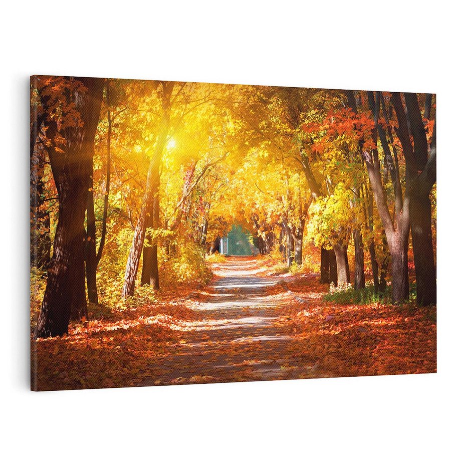 Obraz na płótnie 120x80 - Jesienna Droga: Przechadzka wśród Drzew - jesień, droga
