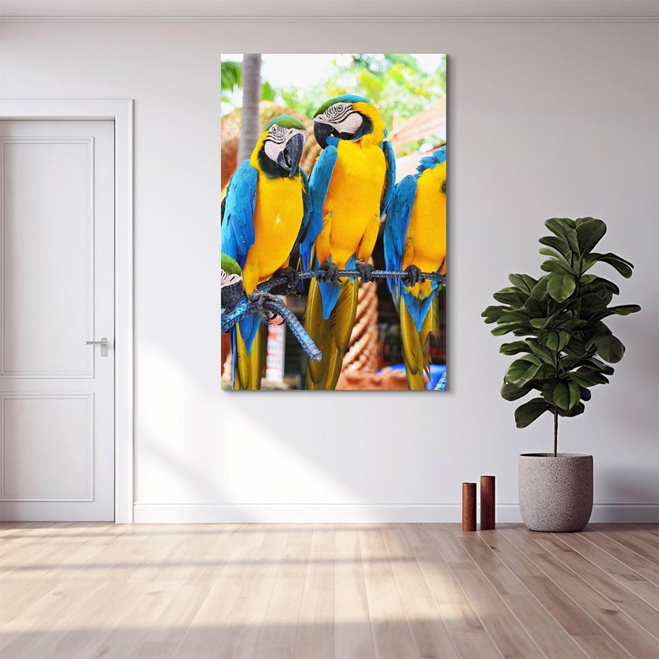 Obraz na płótnie 80x120 - Kolorowa parada papug - papuga, papugi