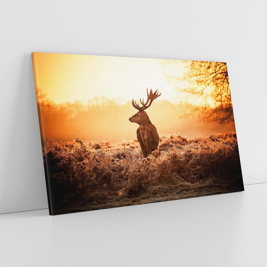 Obraz na płótnie 120x80 - Magia jesiennego słońca: Jeleń w promieniach - jeleń, jesień
