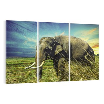 Obraz na płótnie 120x80 - Słoń w sawannie: Spotkanie z dziką przyrodą - słoń, sawanna