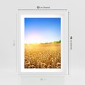 Plakat w ramie 30x40 - Żyzne Pola - pole, pszenicy - rama biała