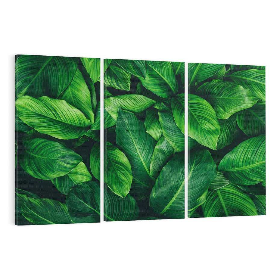 Obraz na płótnie 120x80 - Palma Liście Kwiat - palma, liście