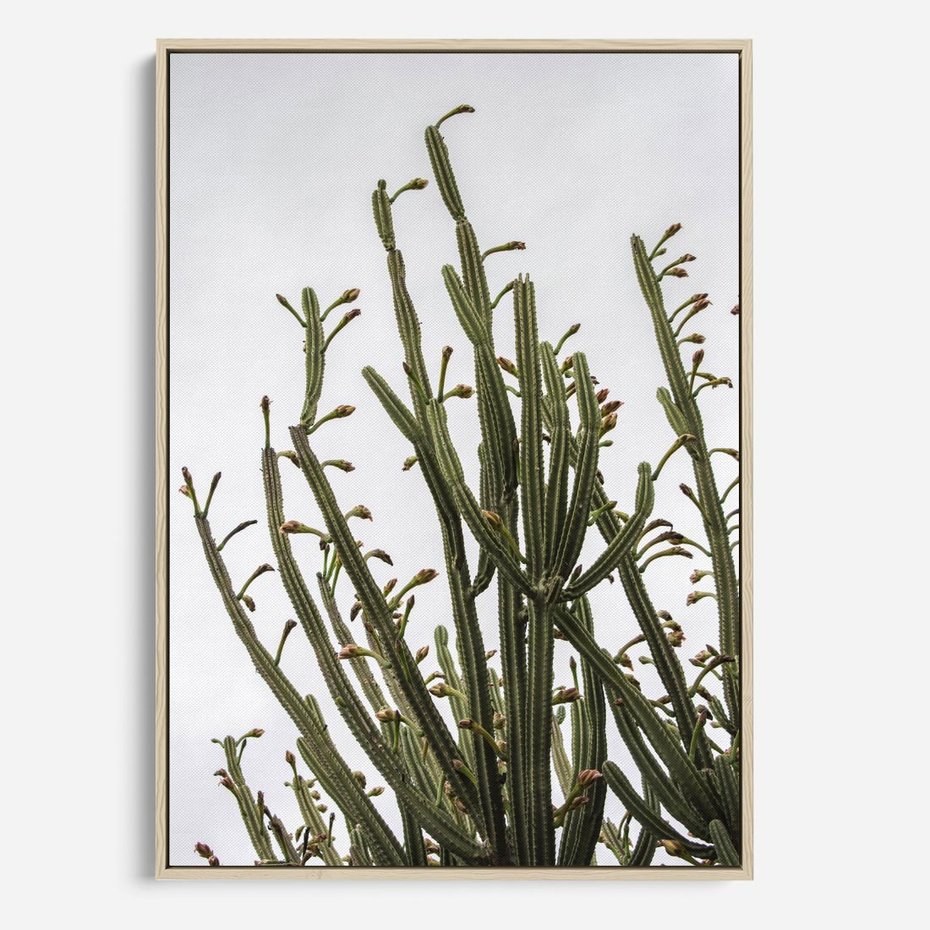 Obraz w ramie 70x100 - Ekskluzywna Roślinność - kaktusy, liście - rama drewno