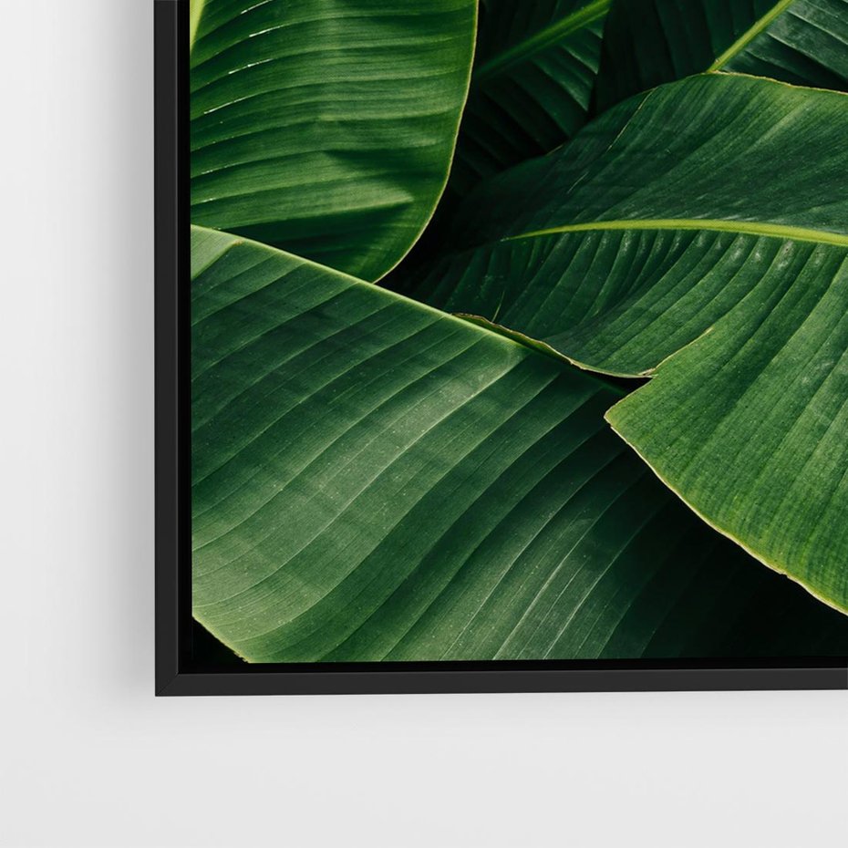 Obraz w ramie 50x50 - Zaklęta roślinna ekspresja - liście bananowca, gęsto ułożone - rama czarna
