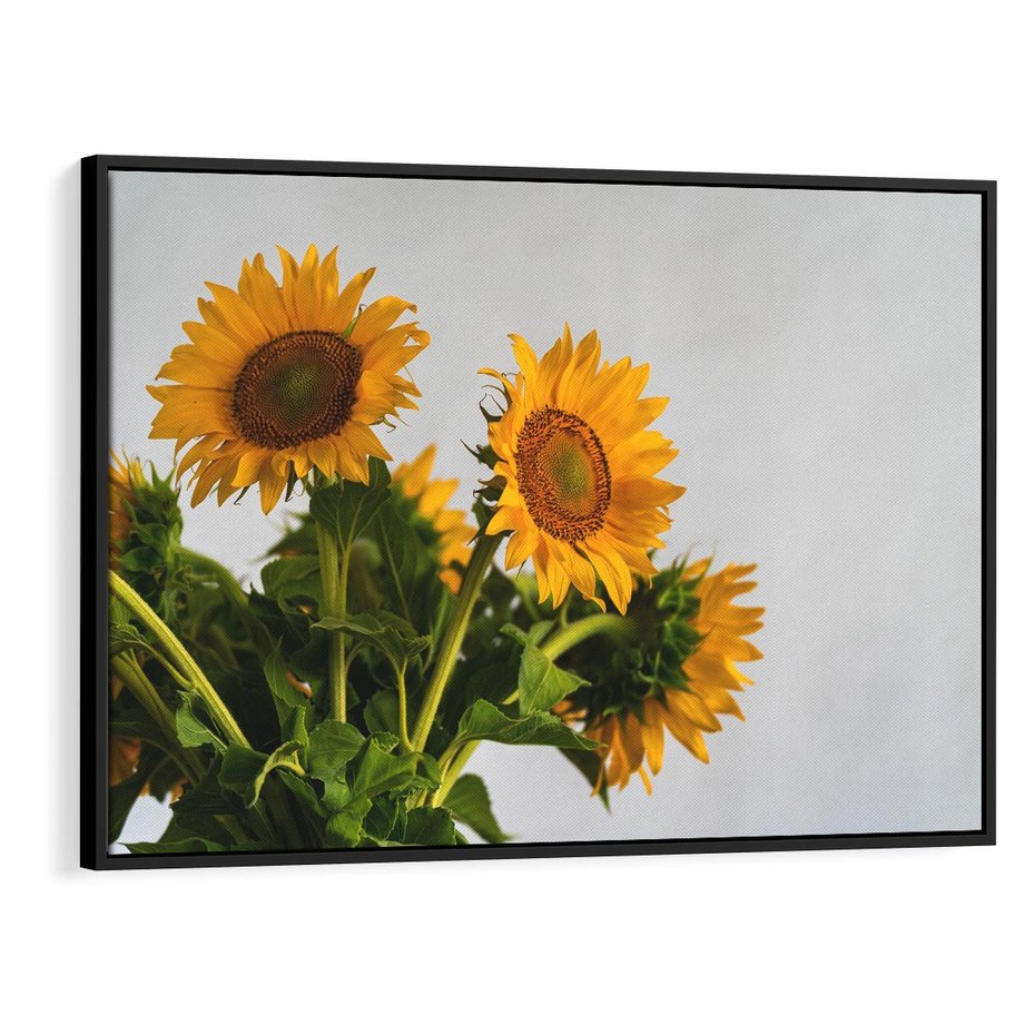 Obraz w ramie 70x50 - Słoneczna Radość - fotografia, żółte słoneczniki - rama czarna
