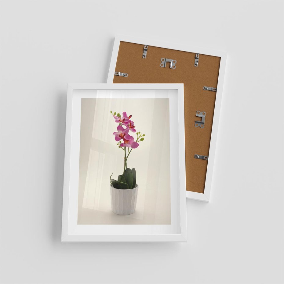 Plakat w ramie 30x40 - Delikatność storczyka orchidei - storczyk, orchidea - rama biała