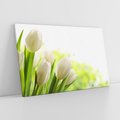 Obraz na płótnie 120x80 - delikatność kwiatów - tulipany, kwiat