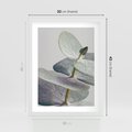 Plakat w ramie 30x40 - Zbliżenie Liści Eukaliptusa - eukaliptus, zbliżenie - rama biała