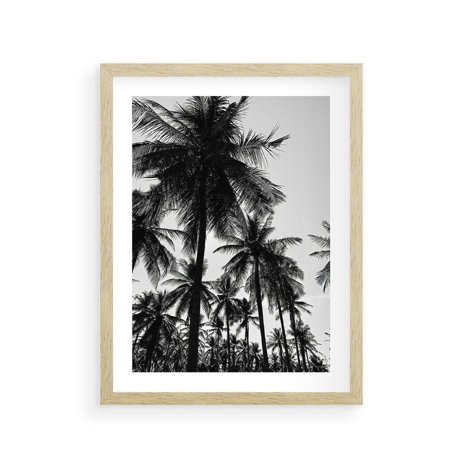 Plakat w ramie 30x40 - Mono Tropiki - palmy, drzewa palmowe - rama drewno