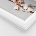 Plakat w ramie 50x70 - Spokojna Gałązka Bawełny - gałązka bawełny, prosta spokojna fotografia - rama biała