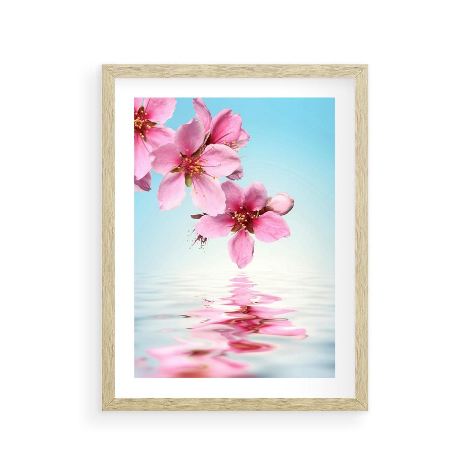Plakat w ramie 30x40 - Magia kwitnącej wiśni - kwitnąca, wiśnia - rama drewno