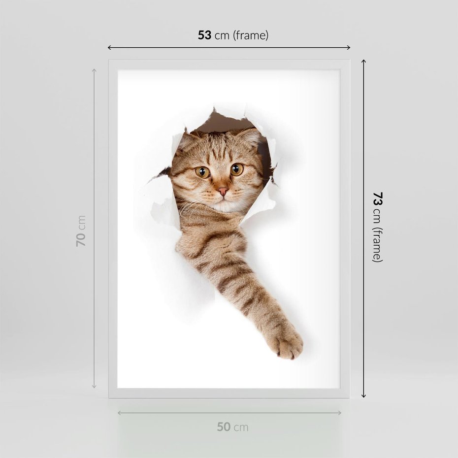 Plakat w ramie 50x70 - Kot w Dziurze - kot, dziura - rama biała