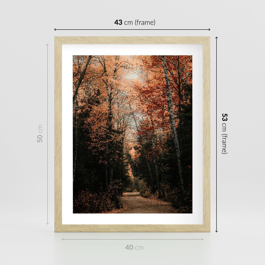 Plakat w ramie 40x50 - Drzewa w Czerwonych Liściach - las, jesienny las - rama drewno