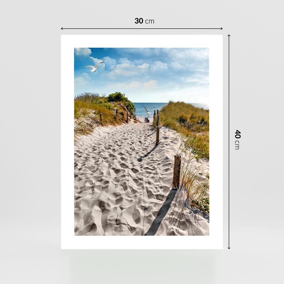 Plakat bez ramy 30x40 - Mewy nad Morzem - plaża, mewy